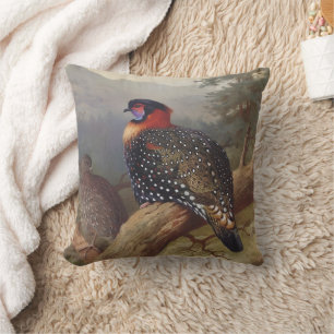 Westerne tragopan, vogelillustraties kussen