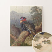 Westerne tragopan, vogelillustraties legpuzzel