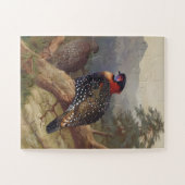 Westerne tragopan, vogelillustraties legpuzzel (Horizontaal)