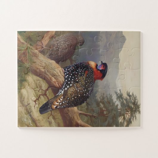 Westerne tragopan, vogelillustraties legpuzzel (Horizontaal)