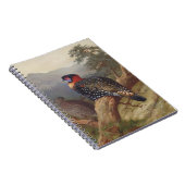 Westerne tragopan, vogelillustraties notitieboek (Rechterzijde)