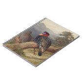Westerne tragopan, vogelillustraties notitieboek (Linkerzijde)