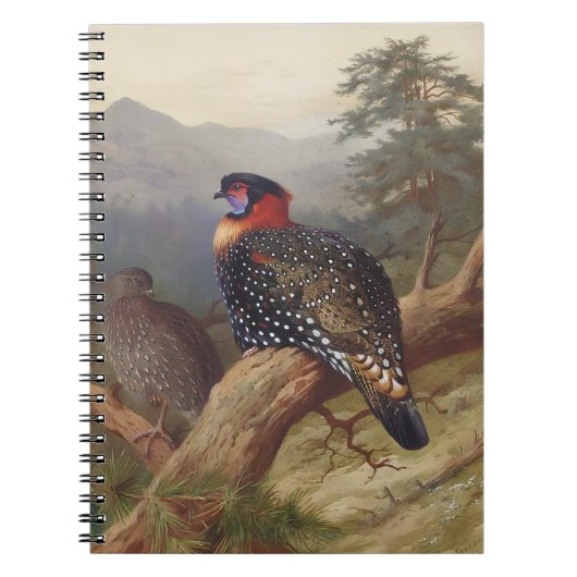 Westerne tragopan, vogelillustraties notitieboek (Voorkant)