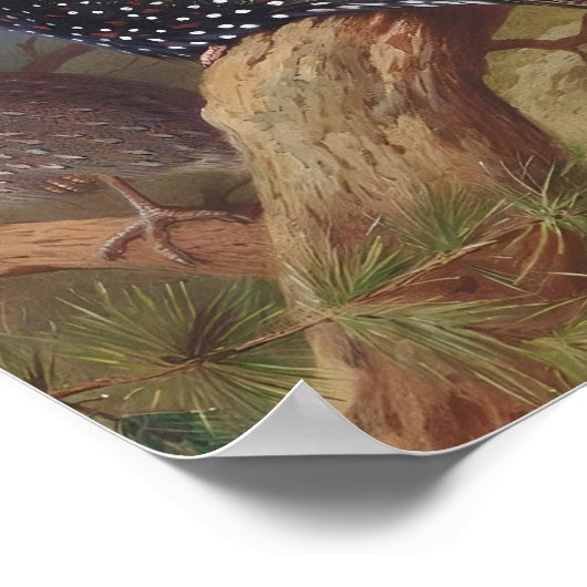 Westerne tragopan, vogelillustraties poster (Hoek)