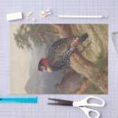 Westerne tragopan, vogelillustraties tissuepapier (Craft)
