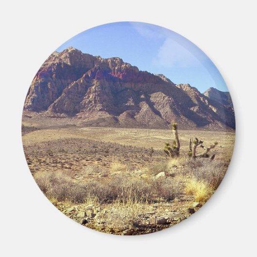 Westerne verdorvenheid magneet (Voorkant)