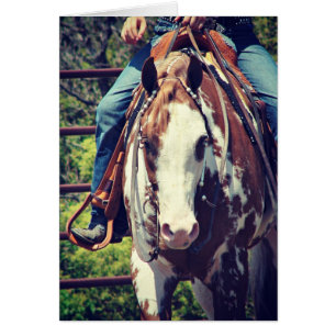 Westerne verfpaarden