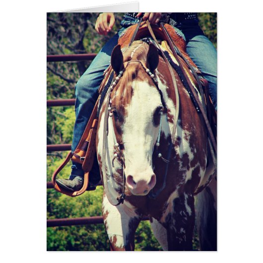 Westerne verfpaarden (Voorkant)