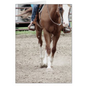 Westerne verfpaarden (Voorkant)