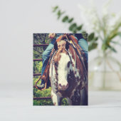 Westerne verfpaarden briefkaart (Staand voorkant)