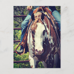 Westerne verfpaarden briefkaart