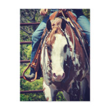 Westerne verfpaarden