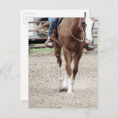 Westerne verfpaarden briefkaart (Voorkant / Achterkant)