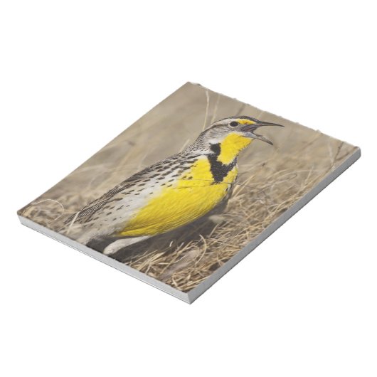 Westerne weide (Strunella neglecta) Notitieblok (Linkerzijde)