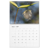 Westerne Wildbloemen Agenda Kalender (Mar 2027)