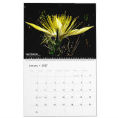 Westerne Wildbloemen Agenda Kalender (Jan 2027)