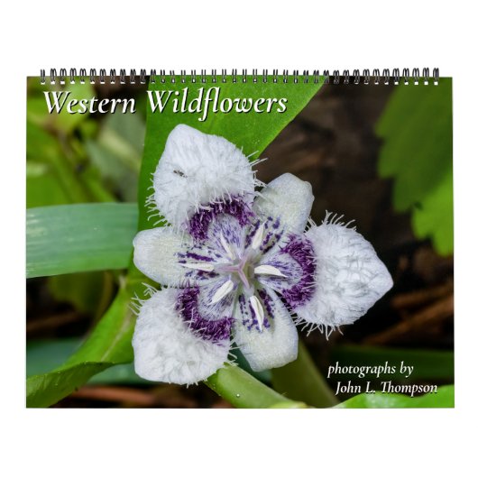 Westerne Wildbloemenkalender voor 2024 Kalender (Hoes)