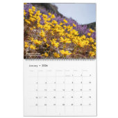 Westerne wilde bloemen, kalender 2023 (Jan 2026)