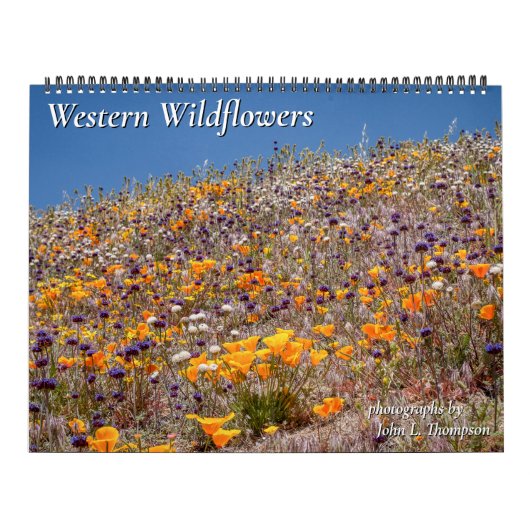 Westerne wilde bloemen, kalender 2023 (Hoes)