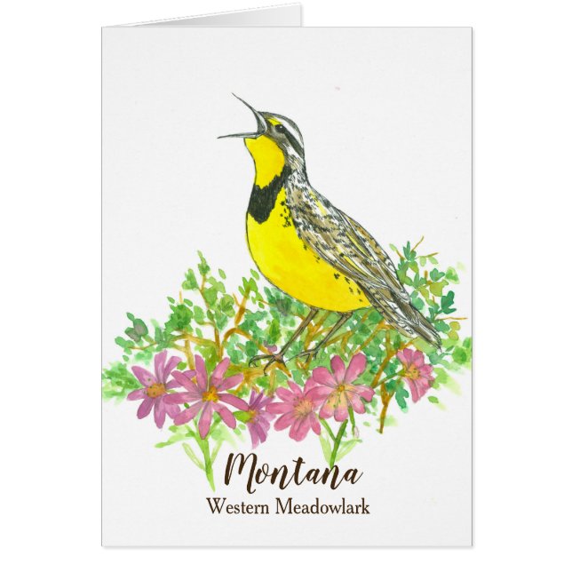 Westernste Hallo Meadowlark Bitterroot Montana (Voorkant)
