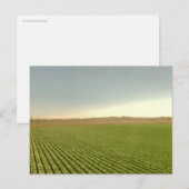 Westerse akkerlandschapsfotografie briefkaart (Voorkant / Achterkant)