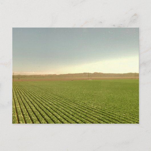 Westerse akkerlandschapsfotografie briefkaart (Voorkant)