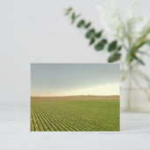 Westerse akkerlandschapsfotografie briefkaart (Staand voorkant)