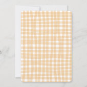 Westerse Cowboyruit Gingham Babyfeestje Kaart (Achterkant)