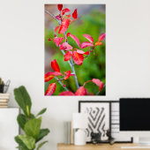 Westerse Kers (Prunus Virginiana) in de herfst Poster (Thuiskantoor)
