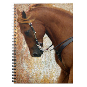 Westerse paardenzuring Grunge Notitieboek