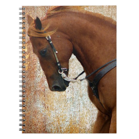 Westerse paardenzuring Grunge Notitieboek (Voorkant)