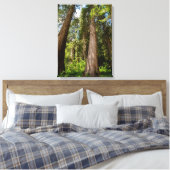 Westerse Rode Cederbomen Canvas Afdruk (Insitu (Slaapkamer))