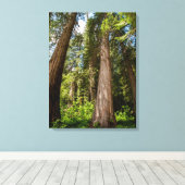 Westerse Rode Cederbomen Canvas Afdruk (Insitu (Houten vloer))