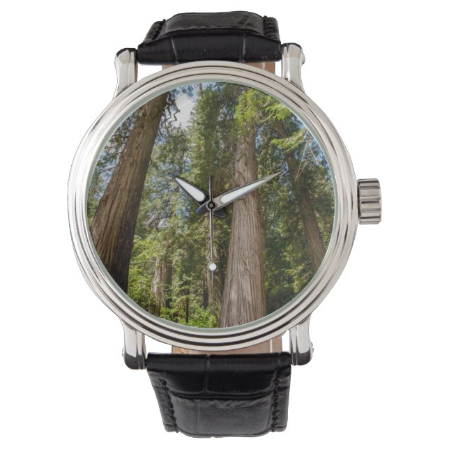 Westerse Rode Cederbomen Horloge (Voorkant)