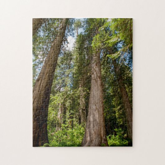 Westerse Rode Cederbomen Legpuzzel (Verticaal)