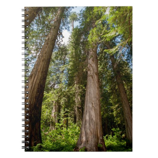 Westerse Rode Cederbomen Notitieboek (Voorkant)