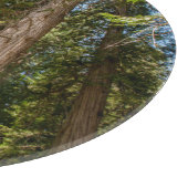 Westerse Rode Cederbomen Snijplank (Hoek)