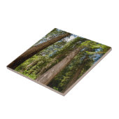Westerse Rode Cederbomen Tegeltje (Zijkant)