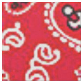 Westerse Rode Paisley Stof (Close Up)