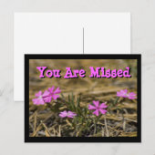 Westerse Showy Paarse Vlambloem Wilde Bloem Aangep Briefkaart (Voorkant / Achterkant)