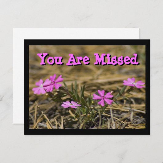 Westerse Showy Paarse Vlambloem Wilde Bloem Aangep Briefkaart (Voorkant / Achterkant)