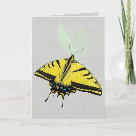 Westerse Tijgerzwaluwstaartvlinder & blad  Kaart (Voorkant)