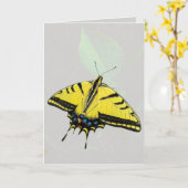 Westerse Tijgerzwaluwstaartvlinder & blad  Kaart (Gele Bloem)