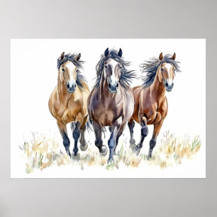 Westerse Wilde & Vrije Mustangpaarden Poster