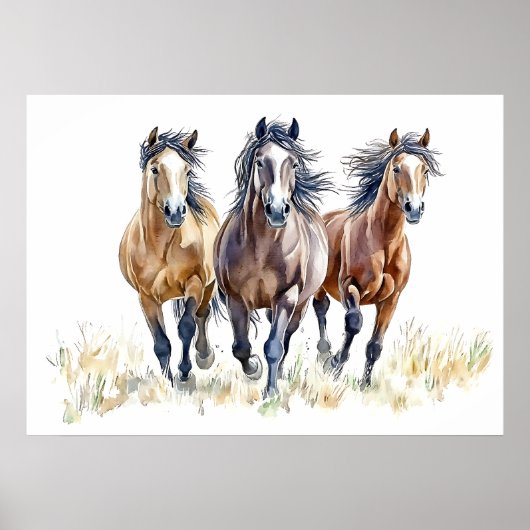 Westerse Wilde & Vrije Mustangpaarden Poster (Voorkant)