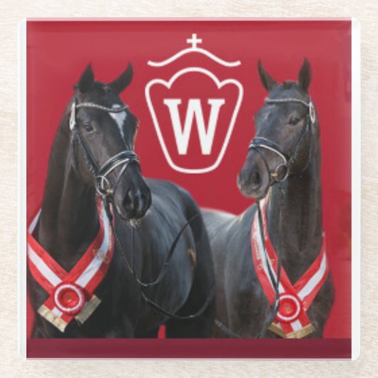 Westfalen Stallion Onderzetters (Voorkant)