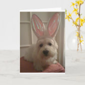 Westhighland Bunny Kaart (Gele Bloem)