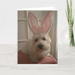 Westhighland Bunny Kaart