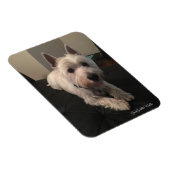 Westie 3 "x4" fotomagneet magneet (Rechterzijde)