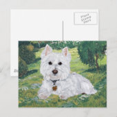 Westie ansichtkaart briefkaart (Voorkant / Achterkant)